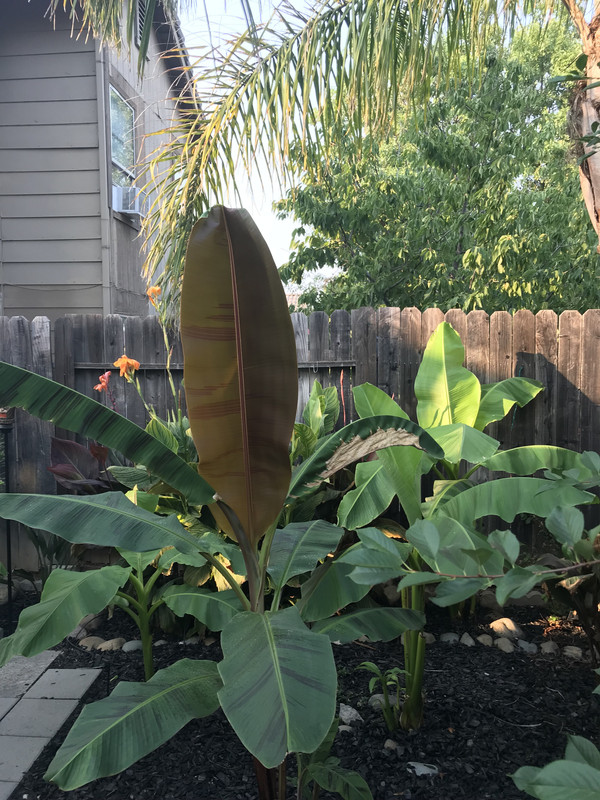 03B86224-9DE2-422E-BC42-50A3FA6C041C