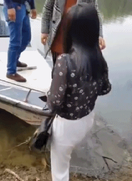 daily-gifdump-3344-18.gif