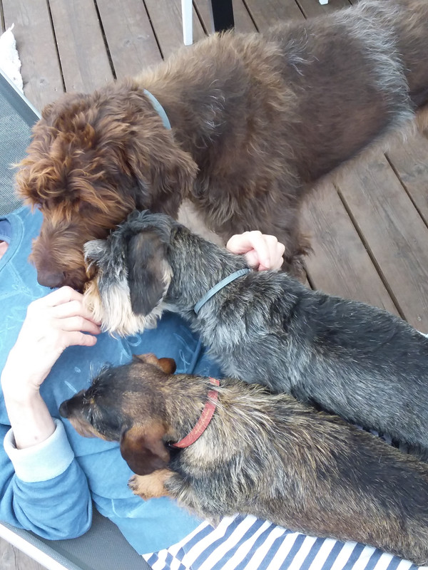 [Image: 20210902-152006.jpg]