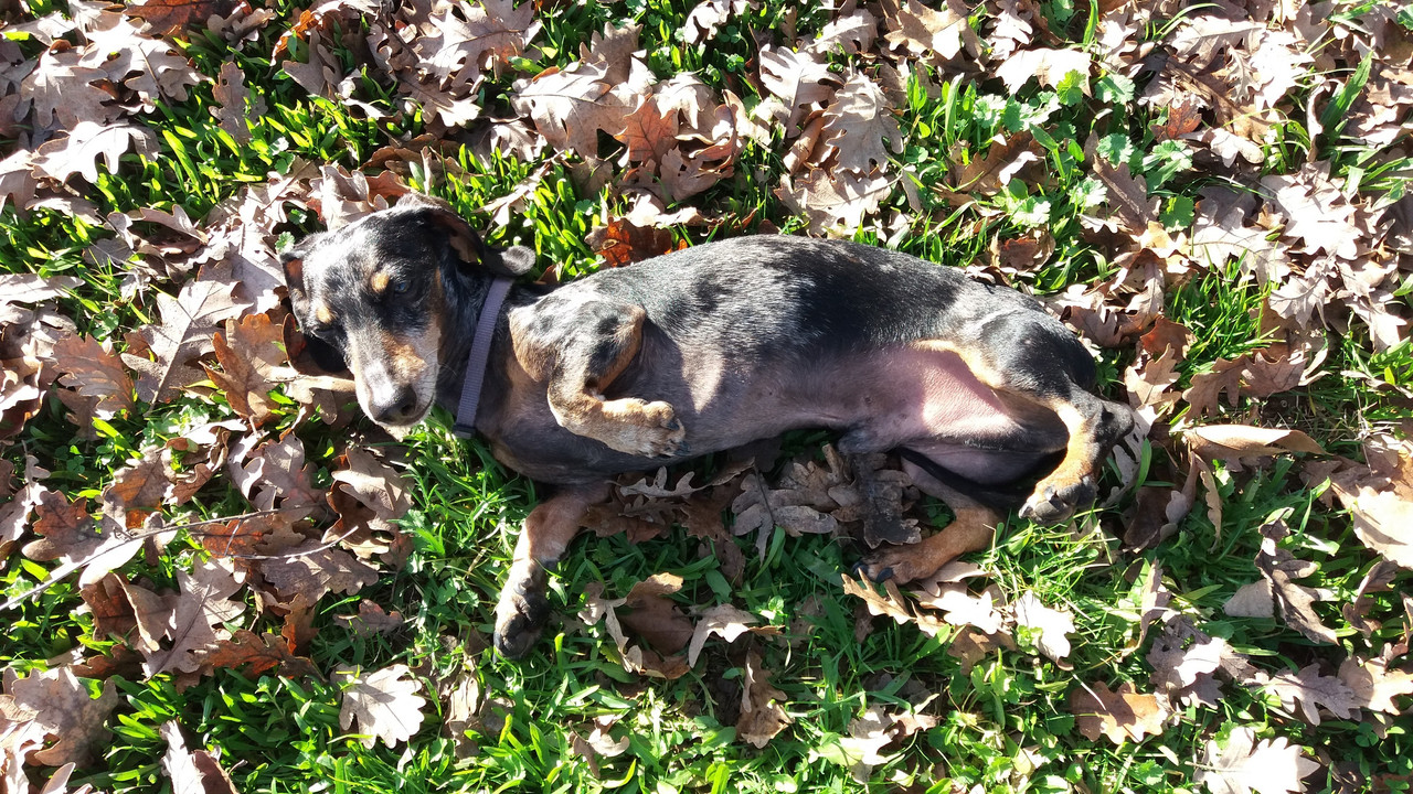 [Image: 20211229-124013.jpg]