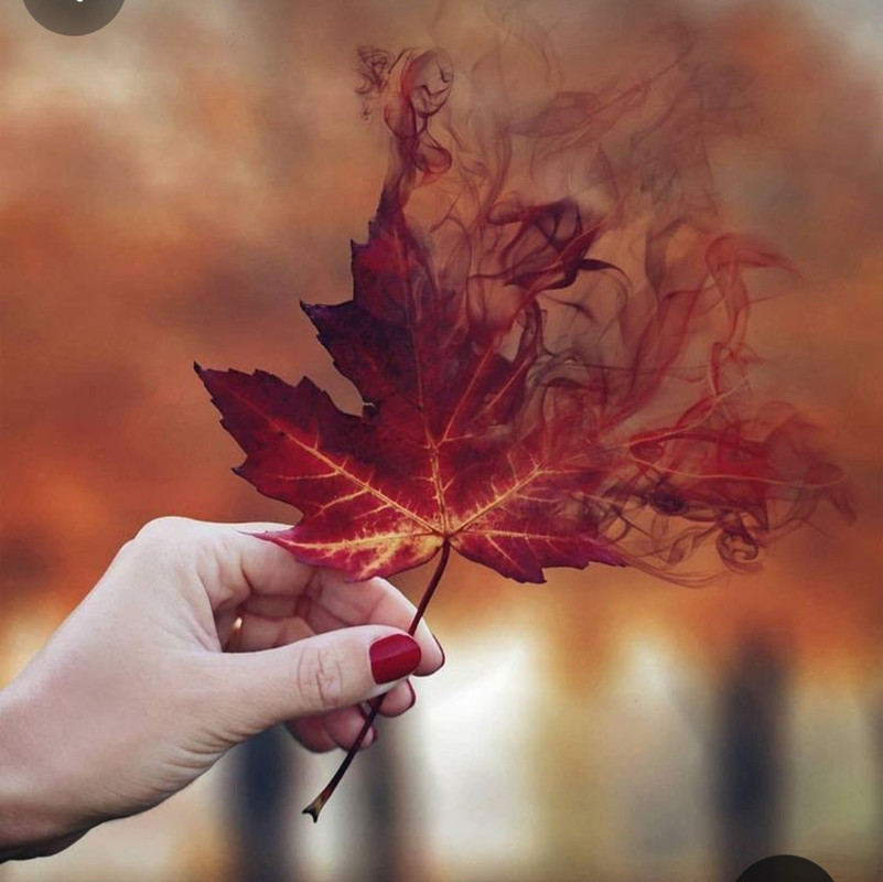 Screenshot_20231219_230704_Pinterest