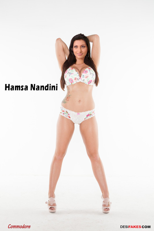 Hamsa Nandini Bikini (2)