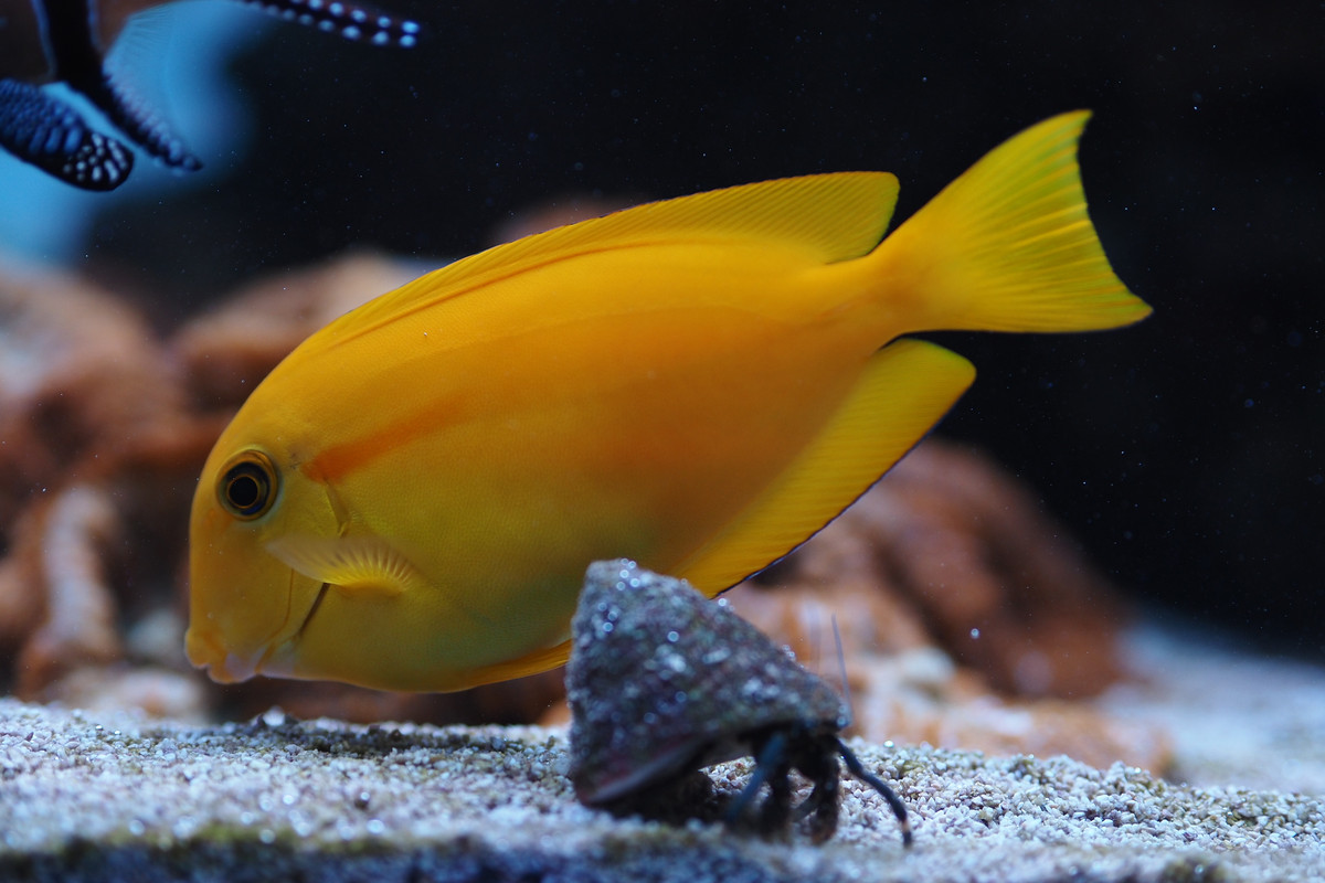 A682E4D6-A442-4602-9874-8470EF91BFDB