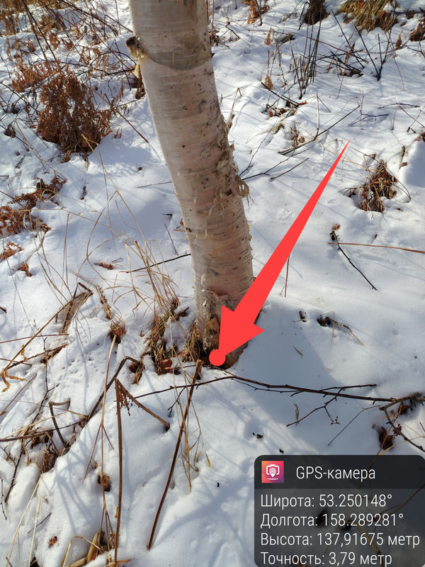 XRecorder Edited 20251104 27