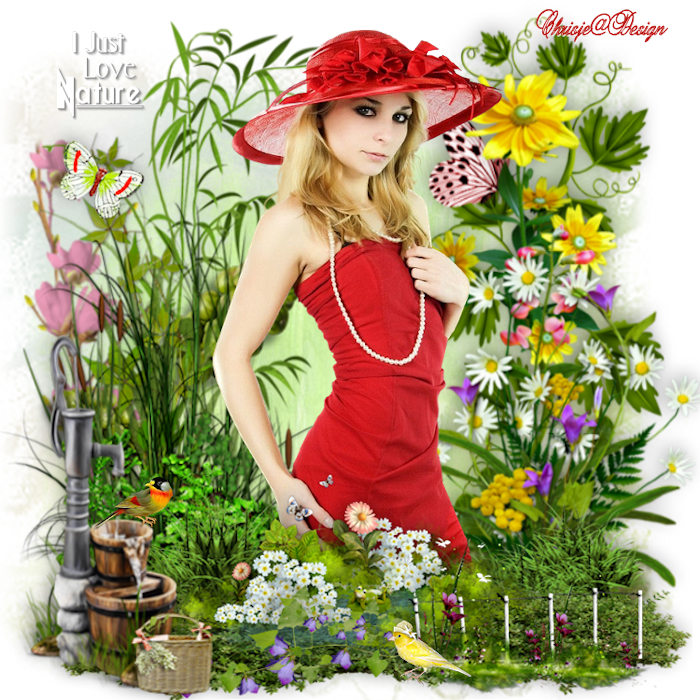 Image and video hosting by TiyPic