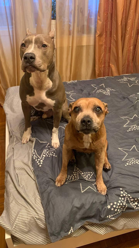 1CEE0338-1177-4018-AAAE-709E784AF8FC