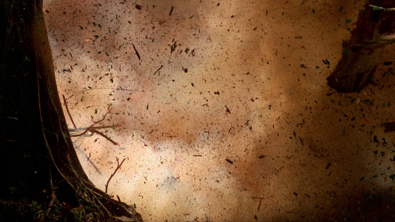 vlcsnap-2022-06-05-19h28m42s555