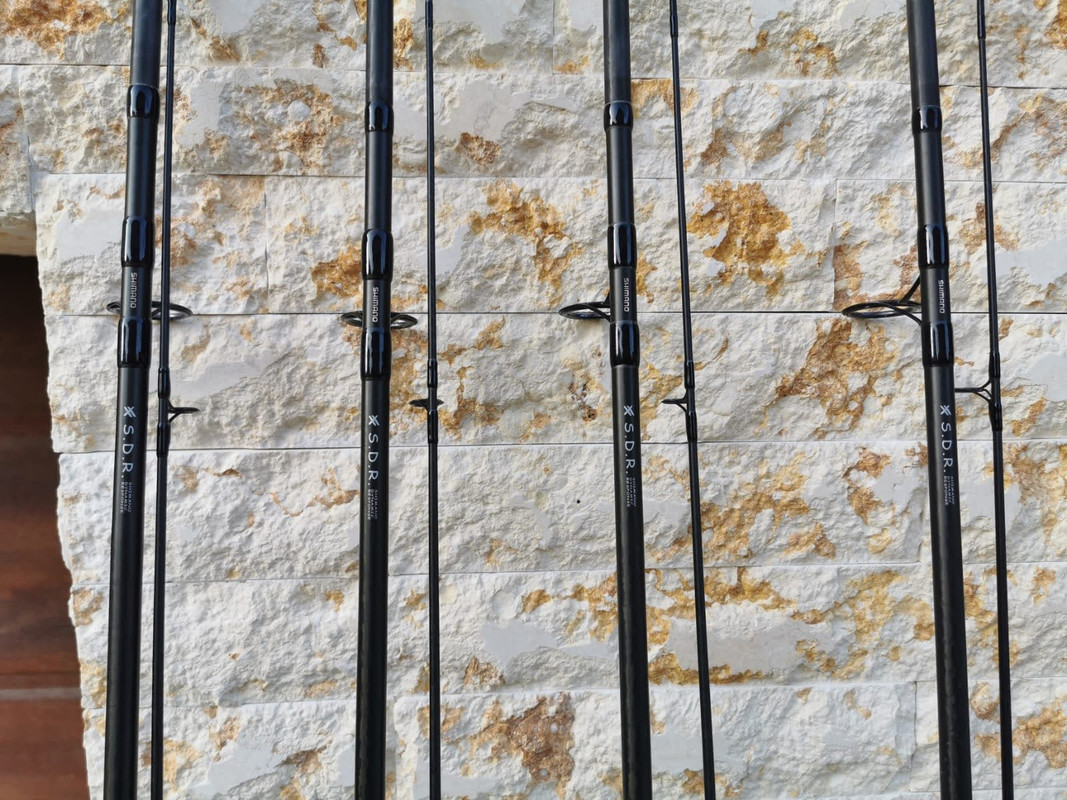 214A0A9F-46AB-4EC4-BC16-274ED6394E18