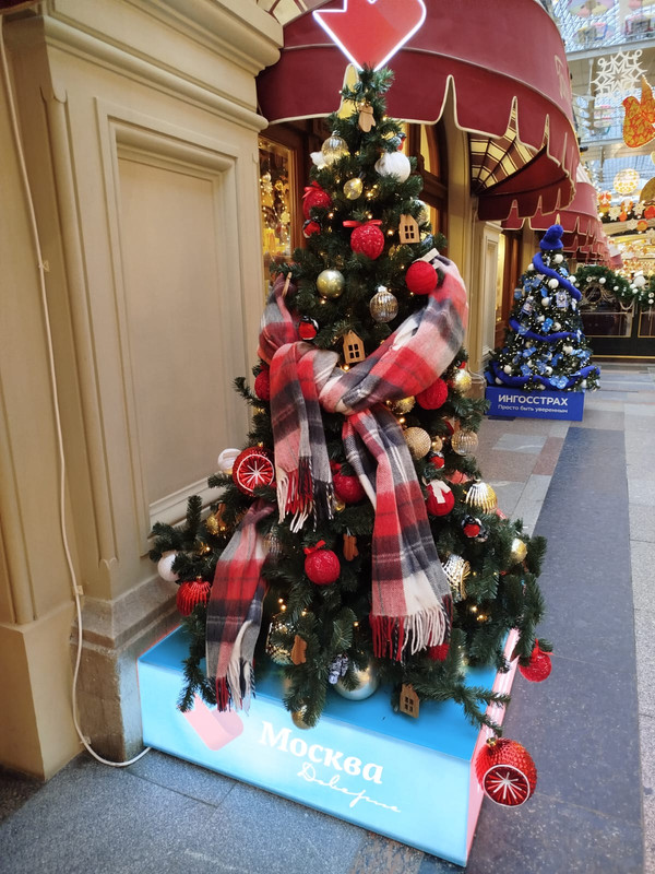 Ладья и Предновогодняя Москва 2025 067
