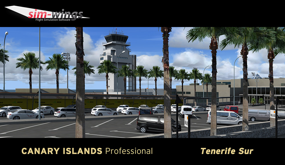 canary-islands-prof-tenerife (15)