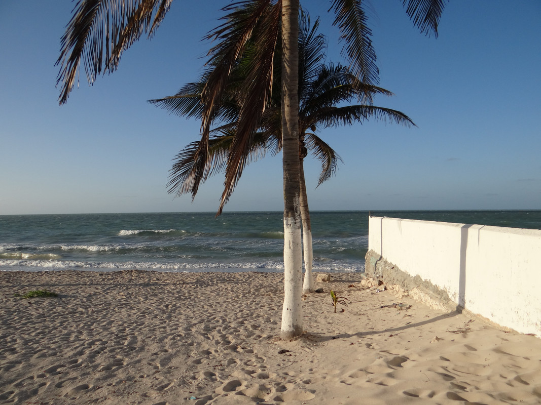 Un-d-a-en-la-playa-en-la-tarde-4