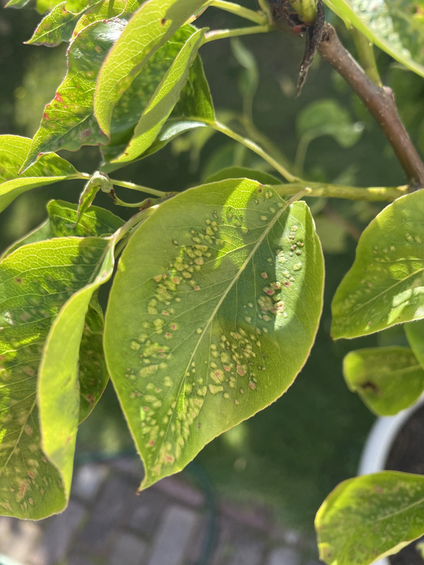 8B3E3D89-BE65-45CF-8312-5BA2A849BC6C