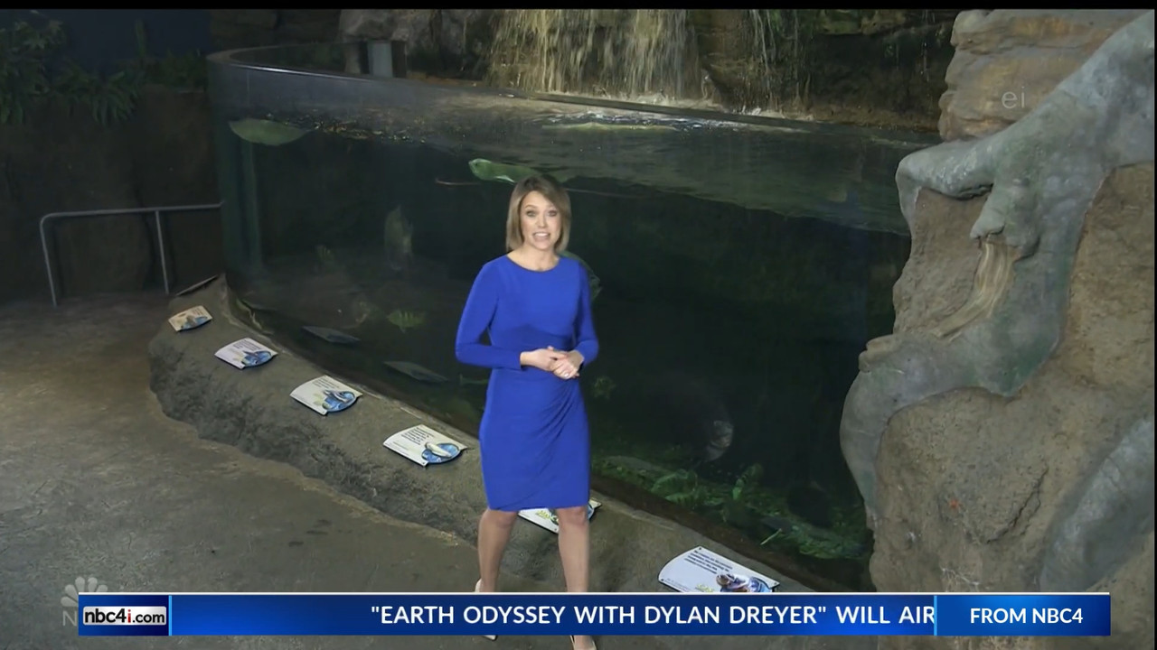 11.07 - 15.00.00 - Earth Odyssey With Dylan Dreyer. The world's smart....ts_snapshot_00.25.02.706
