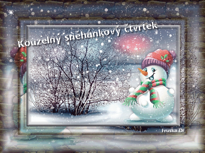 Kouzeln-sn-h-nkov-tvrtek.gif