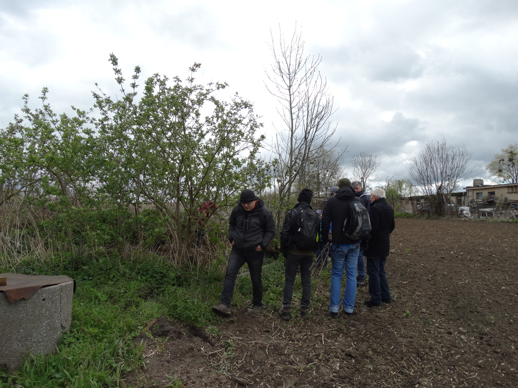 03.28 - DSC06521 (Czesio)