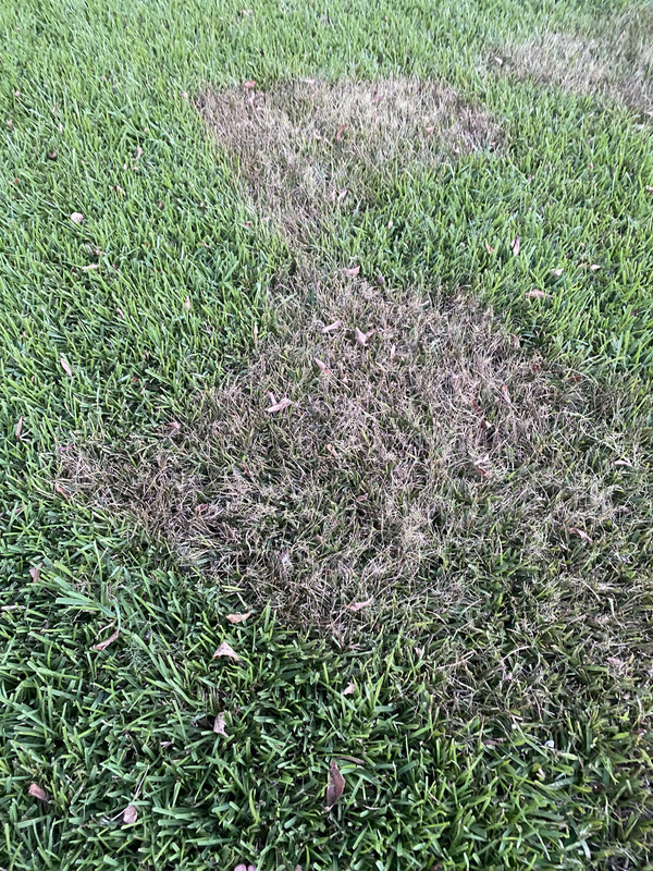 EEAA635E-E3A2-4C13-8CDC-D6D1AB4F1AF6