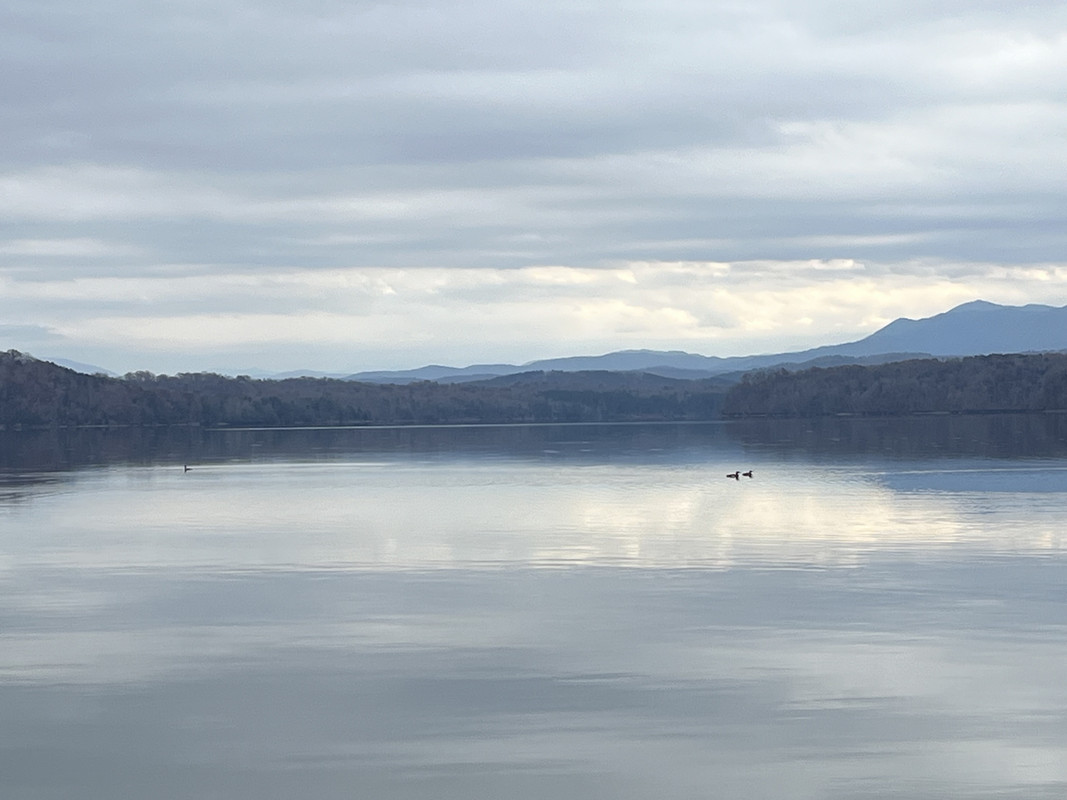 IMG-3578.jpg