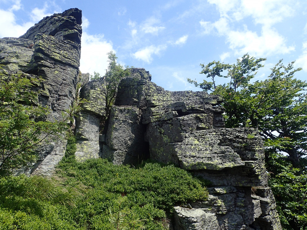 2019_0714VTACNIK_TG0113