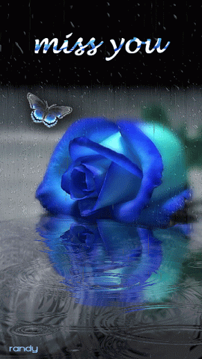 228278-Miss-You-1