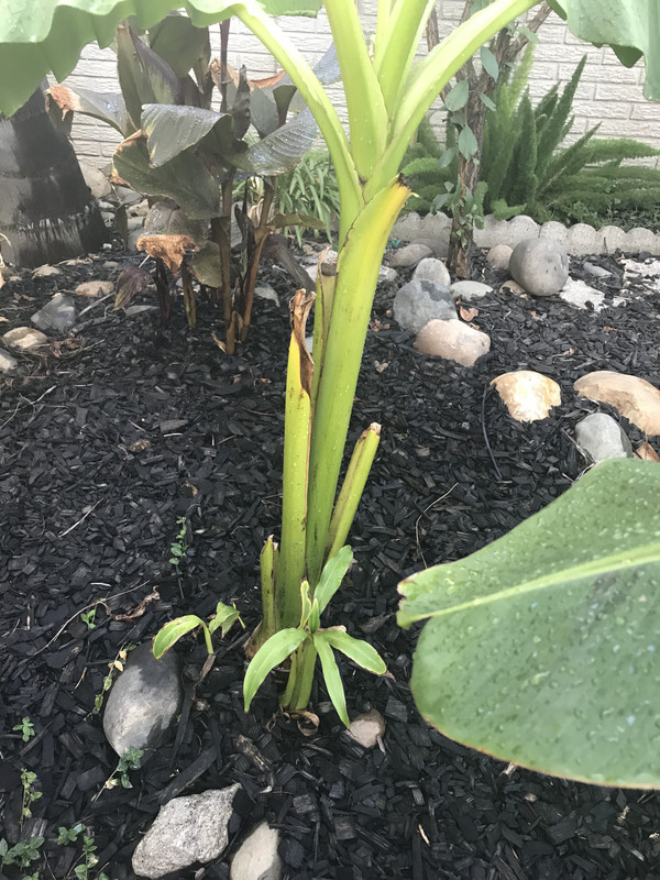 CDD2B638-EB11-4708-BD5B-849E55B9C01A