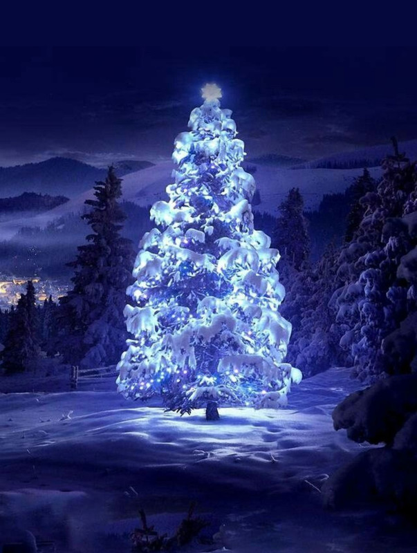 Screenshot_20221204-005505_Chrome