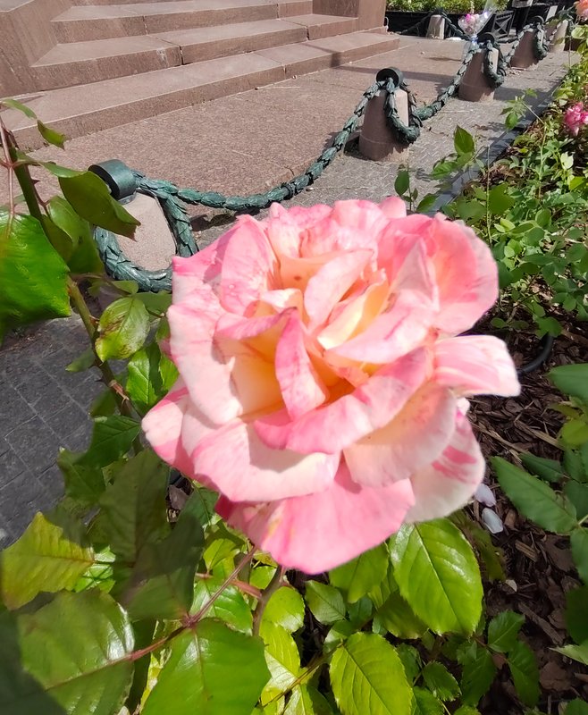 https://i.postimg.cc/pVCqkyHF/05-IMG-20250529-140129.jpg