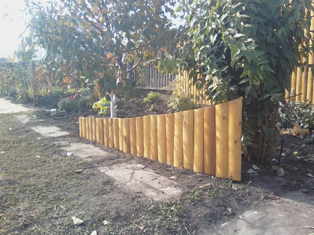 IMG2667-01