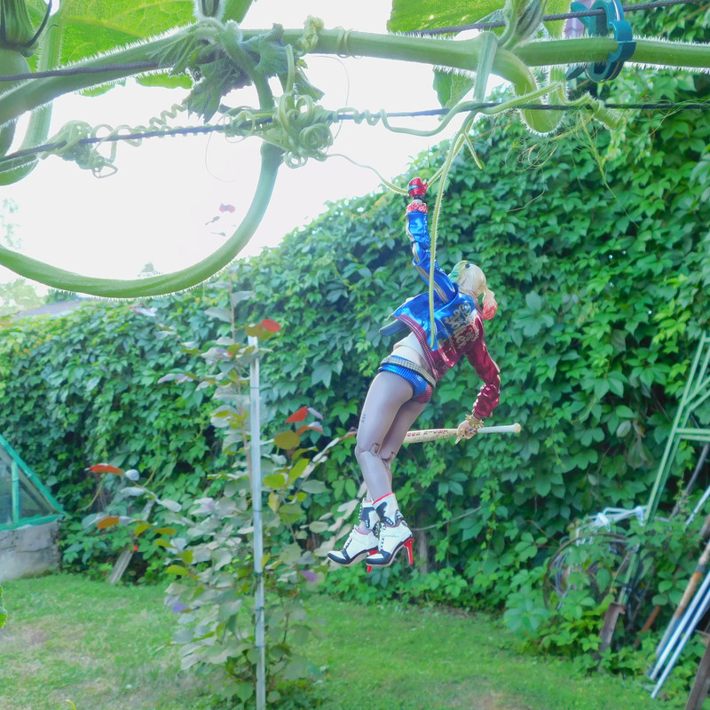 Дачно-Харлинский июнь-июль 2024 359