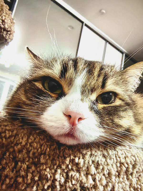 IMG_20250123_215936_edit_327294854058687