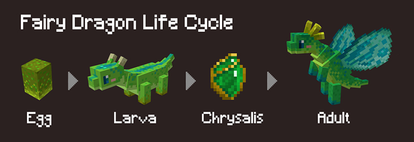 life cycle