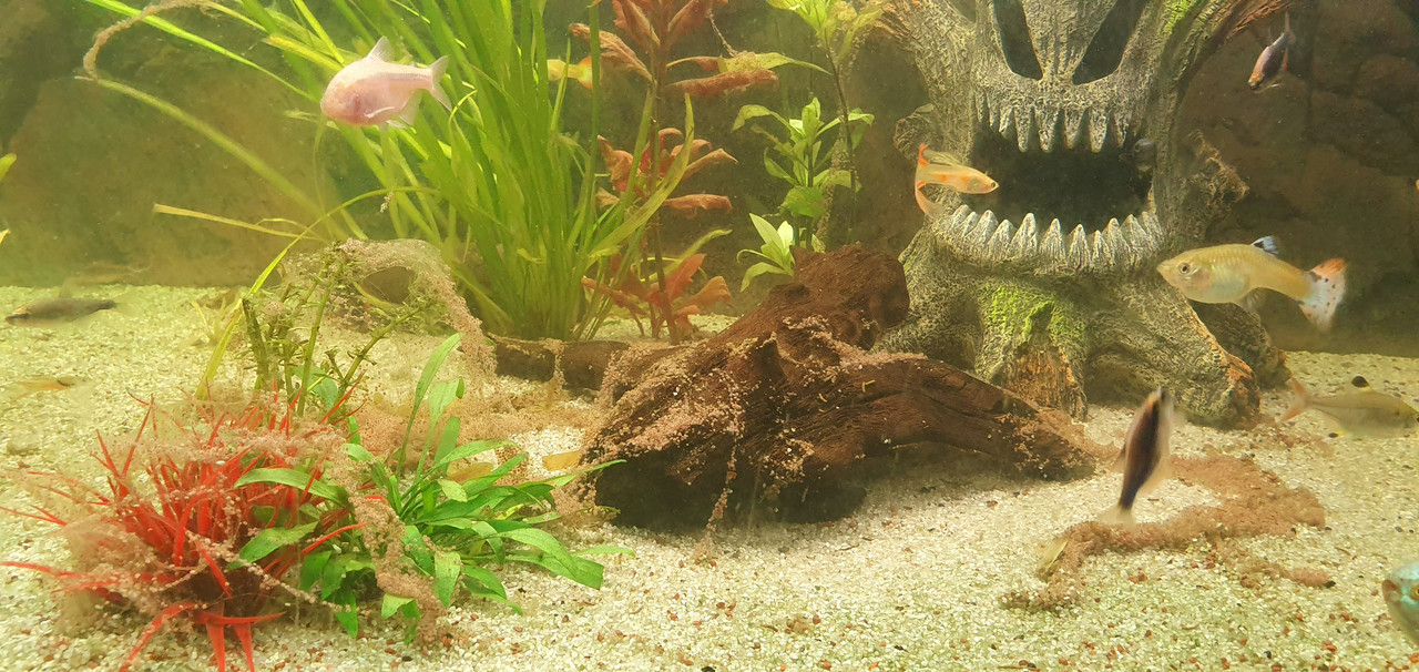 15581700143595102741747850670889