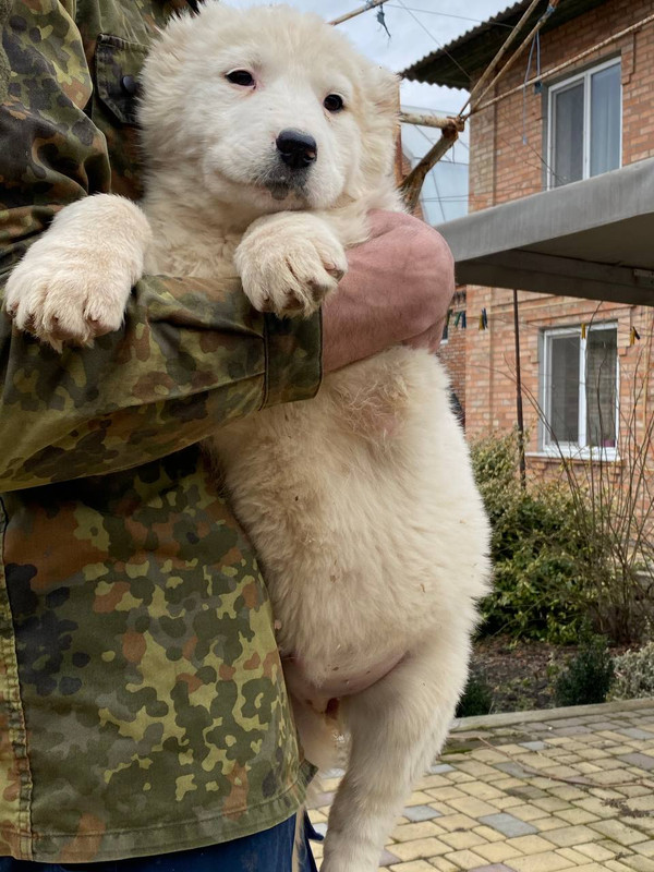 884EF71E-0855-4B8C-BB4F-5004F3003E0D