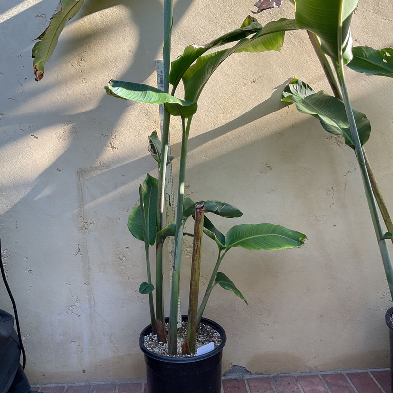 0eebc8dba9e9493f917b3f5025e3cbab