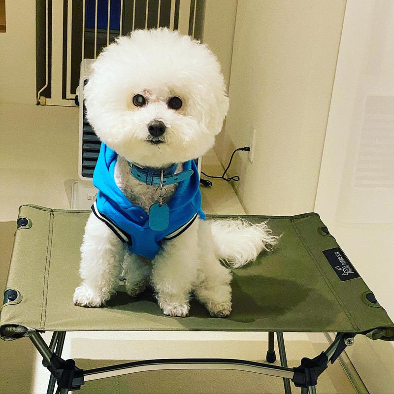 5ED42761-BAB3-425F-B31D-677F39FB584E