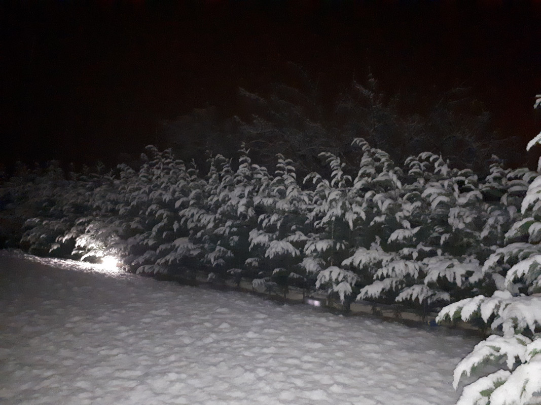 20190127_221329