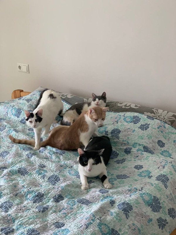 DB170C07-BA4B-4C0B-8A80-21285B7A7E21