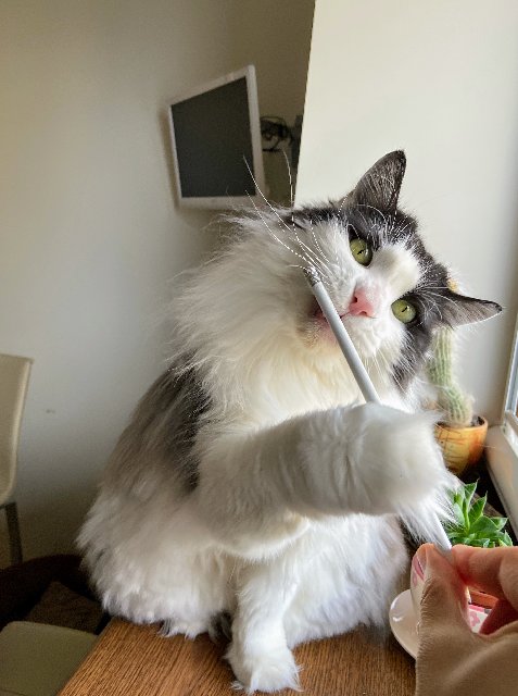 266-B8-FA2-4418-4-D6-B-95-CC-42-BDFECEB7