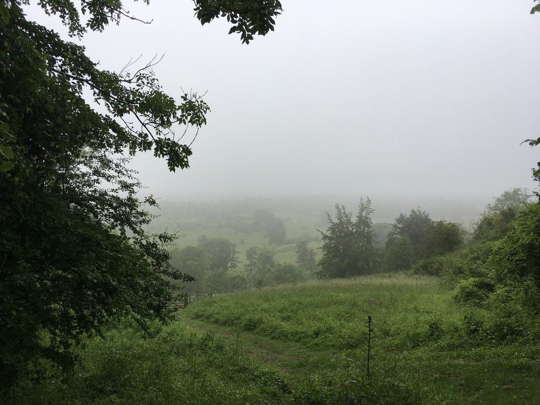 71B737A8-21F1-44FC-92A5-BC69E3A78601