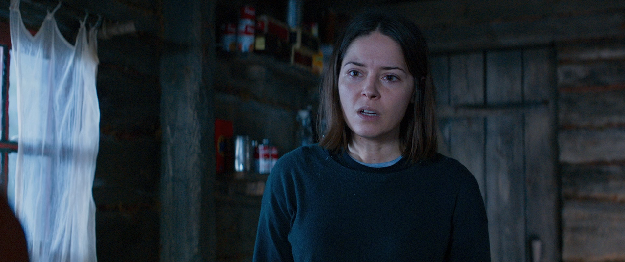 Cold Blood - Senza pace (2019) [BluRay Rip 1080p ITA-ENG DTS-AC3