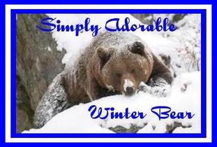 ᵔᴥᵔWinter Bearᵔᴥᵔ Avatar