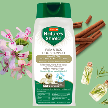 Get Ready for Happy Tails: Apply for a Free Hartz Nature’s Shield Flea & Tick Dog Shampoo