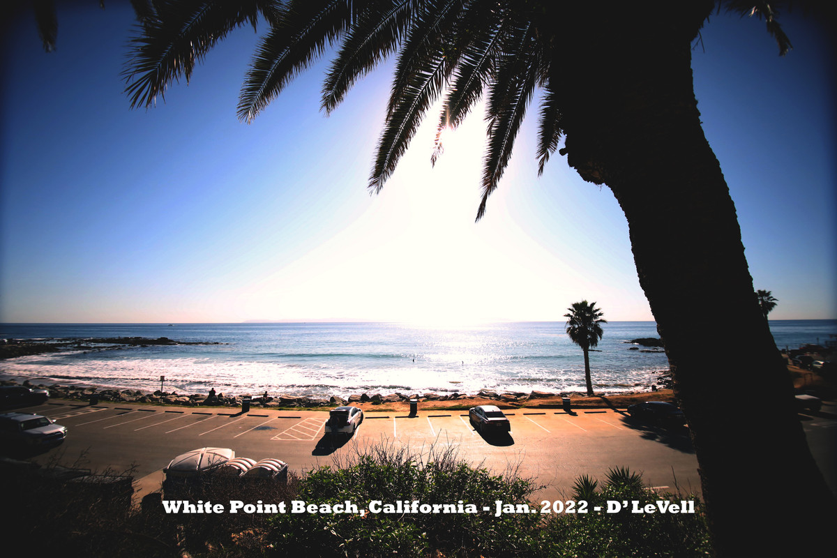 RPV 06 copy