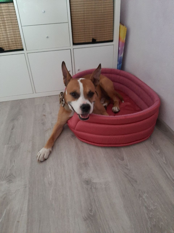 5B8EBBC1-AEBB-4EBA-A9C7-7BEABEB7B70D