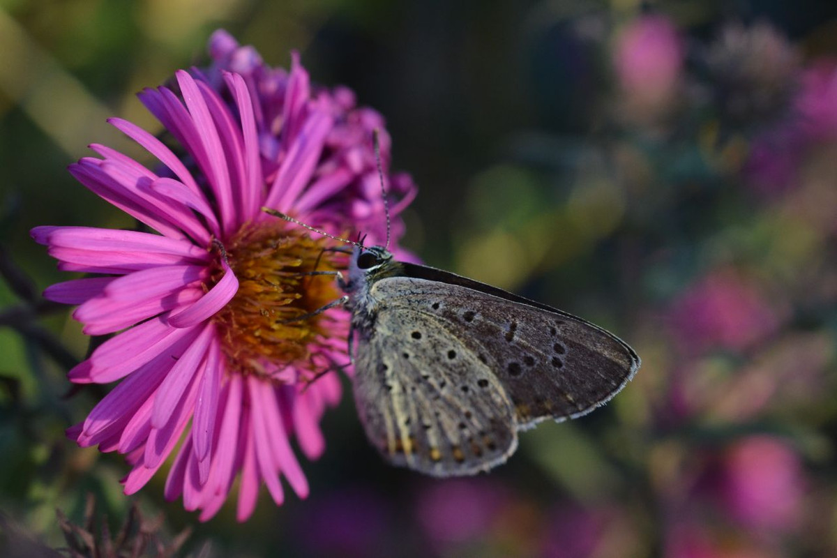 IMG_20200914_193538_217 (1)