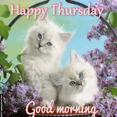 THURSDAY-jeudi-6