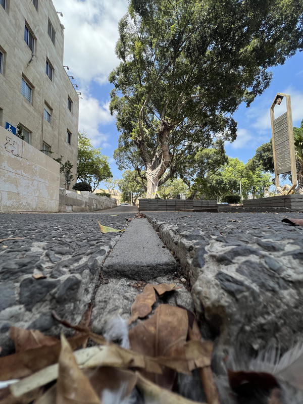 15CD89A7-C55D-4F8D-BF3D-AF5B913A3C0C