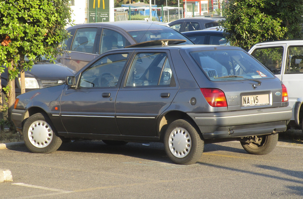 IMG-8576.jpg