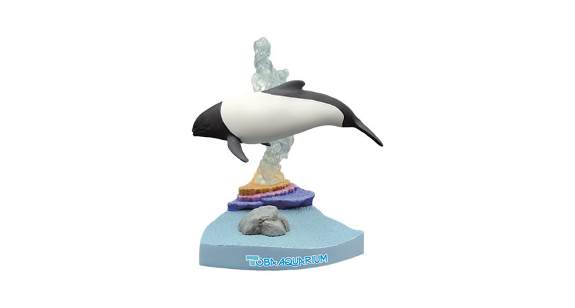 2021 STS Sealife Figure of the Year, time for your choices! Qualia-commerson-s-dolphin
