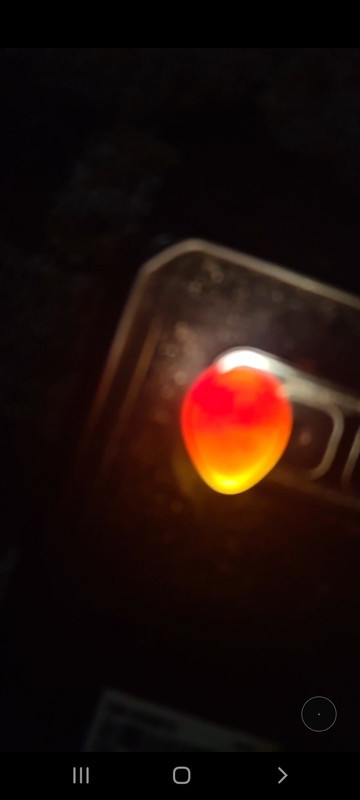 Screenshot_٢٠٢١٠٣١٠-١٩٣١٠٨_Gallery