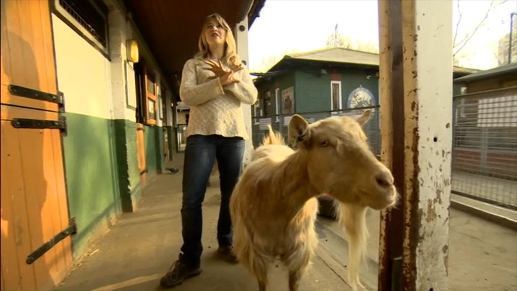 BBC London News_20220324_18301900.ts_snapshot_25.06.492